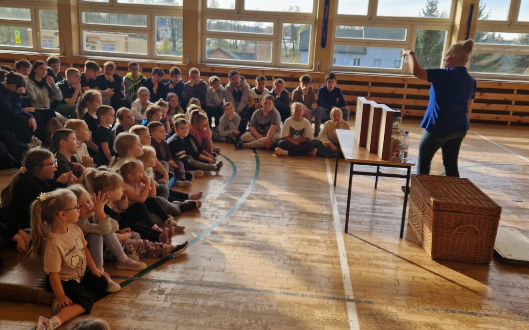 Lekcja przyrody na żywo – „Owady”